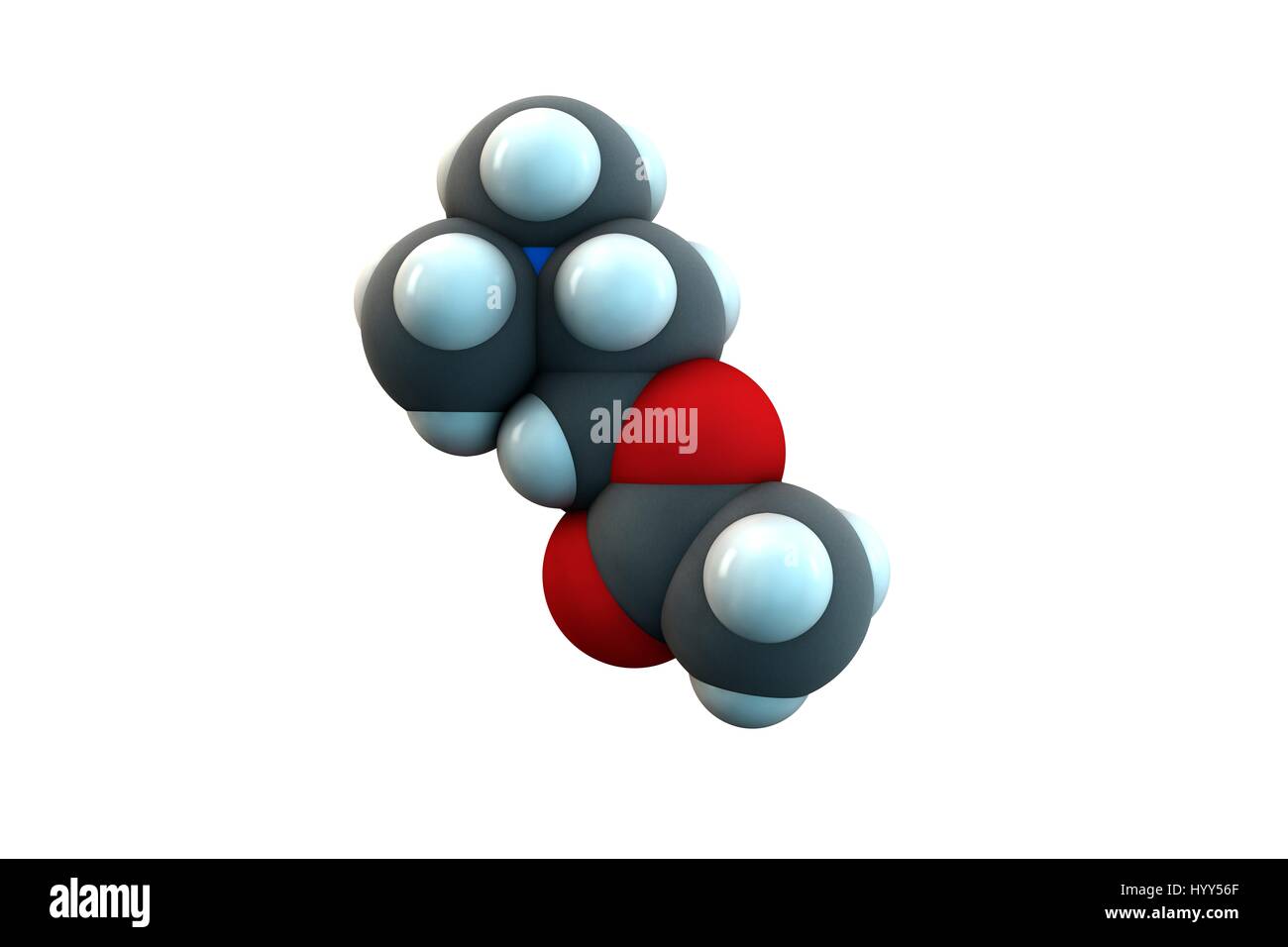 Acetylcholine neurotransmitter molecule. Chemical formula is C7H16NO2. Atoms are represented as spheres: carbon (grey), hydrogen (white), nitrogen (blue), oxygen (red). Illustration. Stock Photo