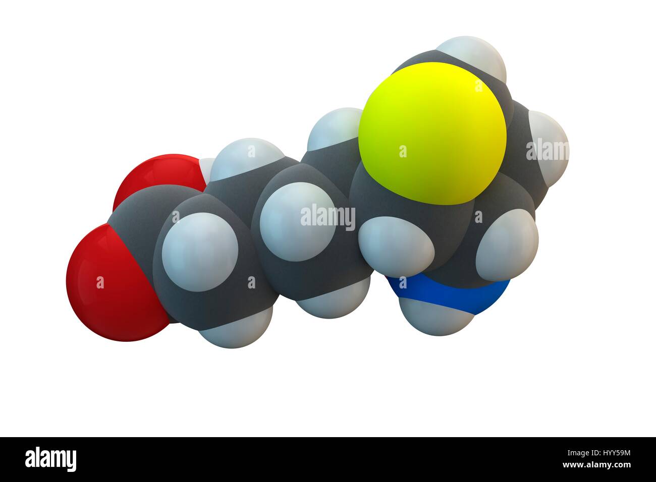 Vitamin B7. Molecular model of biotin, also known as vitamin B7, vitamin H and coenzyme R. This vitamin is required for cell growth, the production of fatty acids, and the metabolism of fats and amino acids. Chemical formula is C10H16N2O3S. Atoms are represented as spheres: carbon (grey), hydrogen (white), nitrogen (blue), oxygen (red), sulphur (yellow). Illustration. Stock Photo