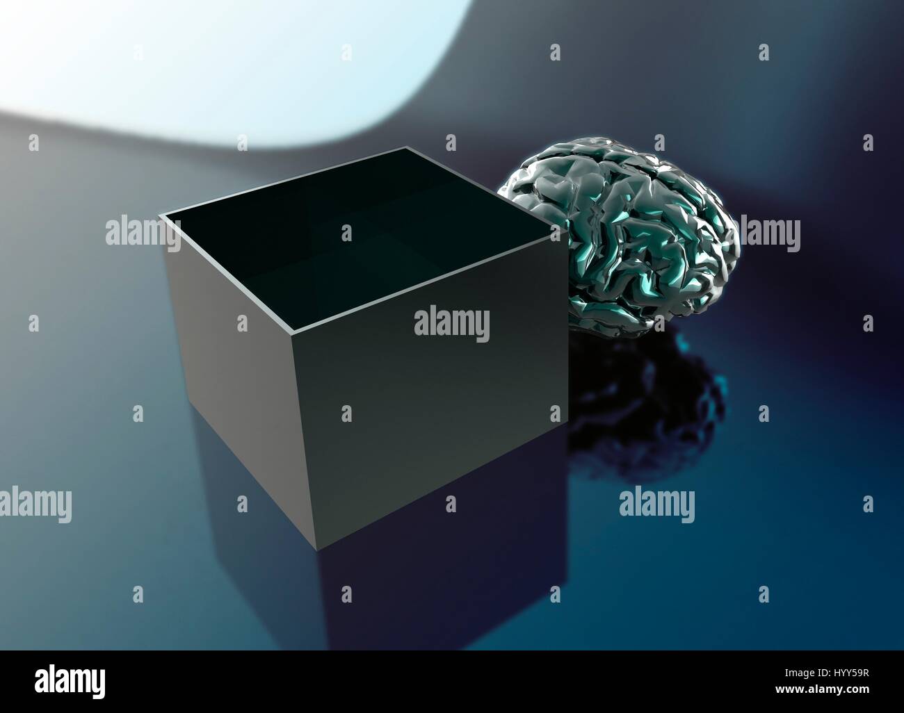 Human brain and empty box hires stock photography and images Alamy