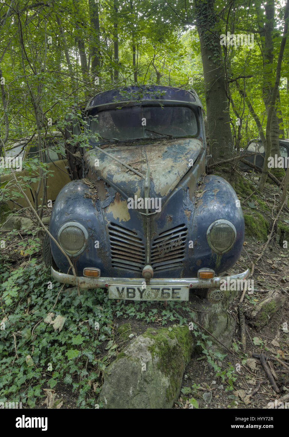 A Ford vehicle has been taken over by nature. STUNNING images reveal the vulnerable beauty of abandoned cars that have been left to rust over the years. The collection of spectacular images show how a Volkswagen Beetle, Citroën C2 and even a Ferrari have been taken over by nature and piles of rubble. In other shots, a Mercedes Benz is overgrown with ivy and an old-fashioned BMW has been left in a garage with a collapsing roof and debris on the floor. A Ford vehicle has also been forgotten in the woods and one car even appears to have a tree growing from it. The haunting images were taken by Be Stock Photo