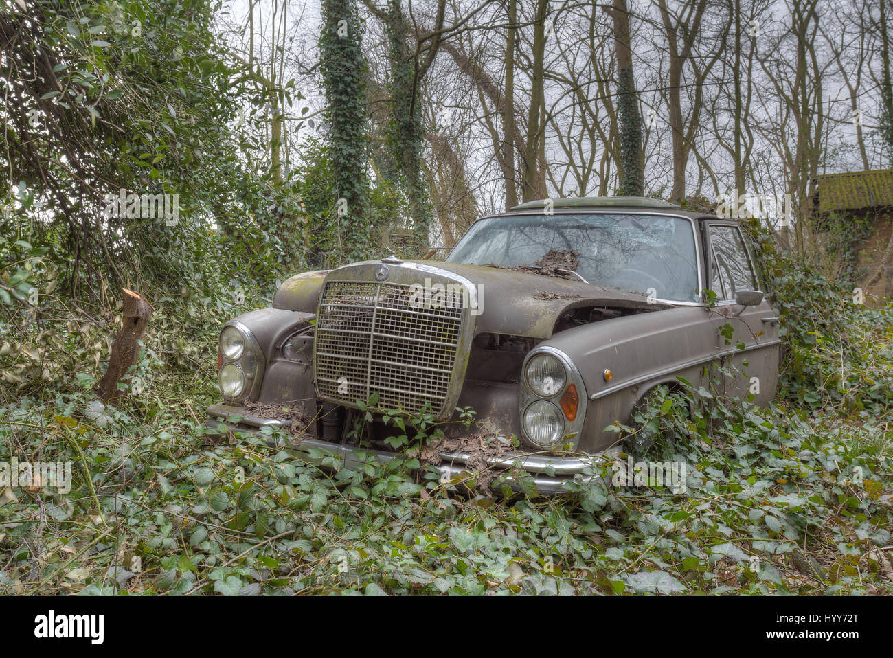 A Mercedes Benz. STUNNING images reveal the vulnerable beauty of abandoned cars that have been left to rust over the years. The collection of spectacular images show how a Volkswagen Beetle, Citroën C2 and even a Ferrari have been taken over by nature and piles of rubble. In other shots, a Mercedes Benz is overgrown with ivy and an old-fashioned BMW has been left in a garage with a collapsing roof and debris on the floor. A Ford vehicle has also been forgotten in the woods and one car even appears to have a tree growing from it. The haunting images were taken by Belgian security guard, Kenneth Stock Photo