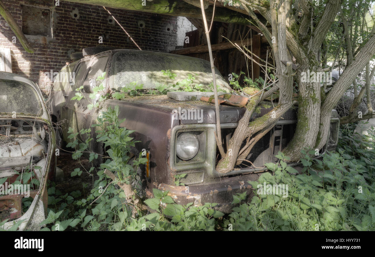 This vehicle appears to have a tree growing out of it. STUNNING images reveal the vulnerable beauty of abandoned cars that have been left to rust over the years. The collection of spectacular images show how a Volkswagen Beetle, Citroën C2 and even a Ferrari have been taken over by nature and piles of rubble. In other shots, a Mercedes Benz is overgrown with ivy and an old-fashioned BMW has been left in a garage with a collapsing roof and debris on the floor. A Ford vehicle has also been forgotten in the woods and one car even appears to have a tree growing from it. The haunting images were ta Stock Photo