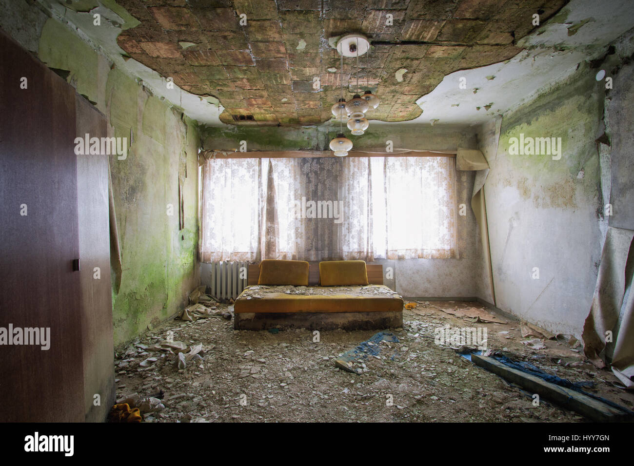 Unnerving Images Show How A Green Carpet Of Mould Is Taking Over