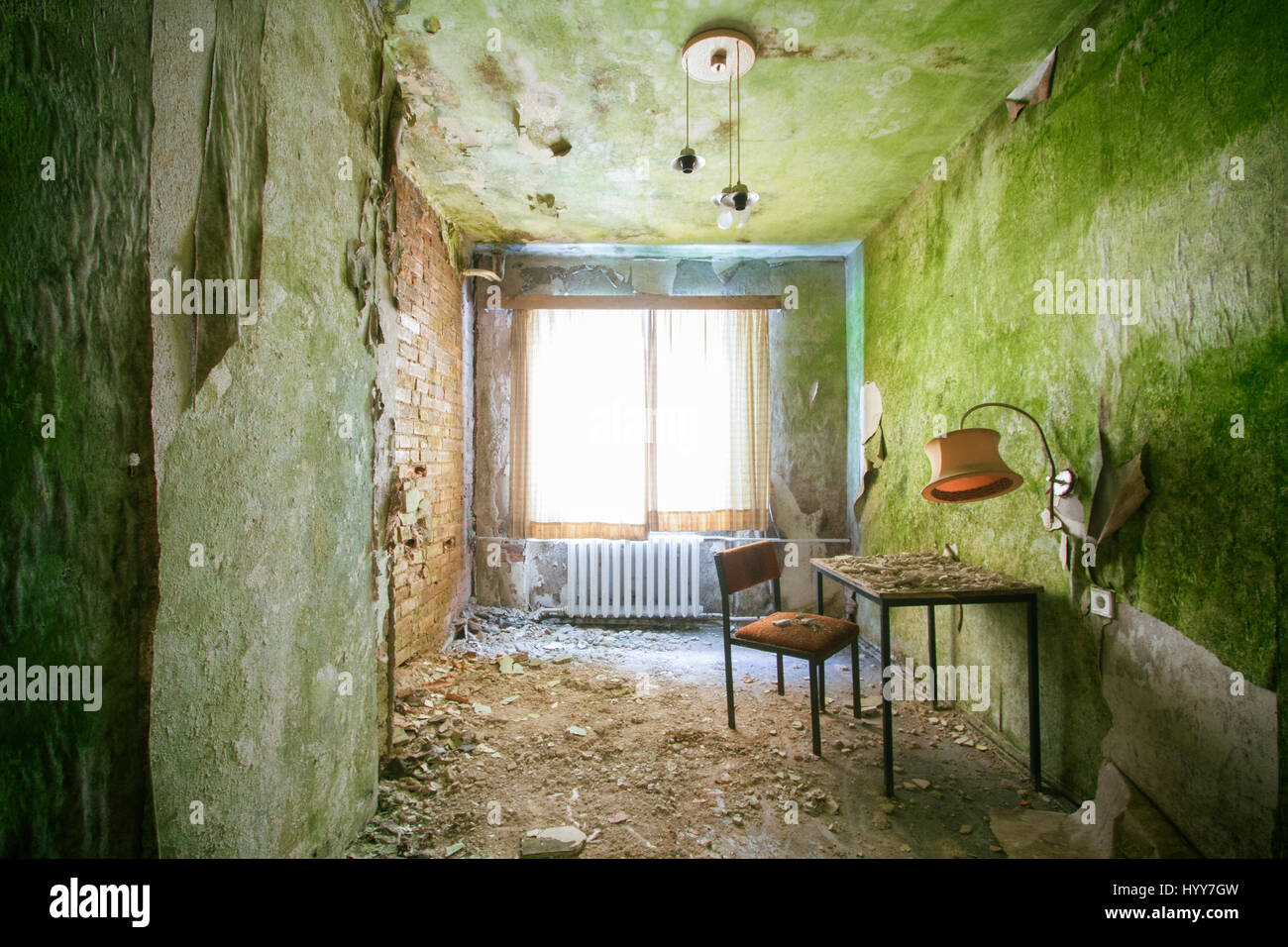 Unnerving Images Show How A Green Carpet Of Mould Is Taking Over