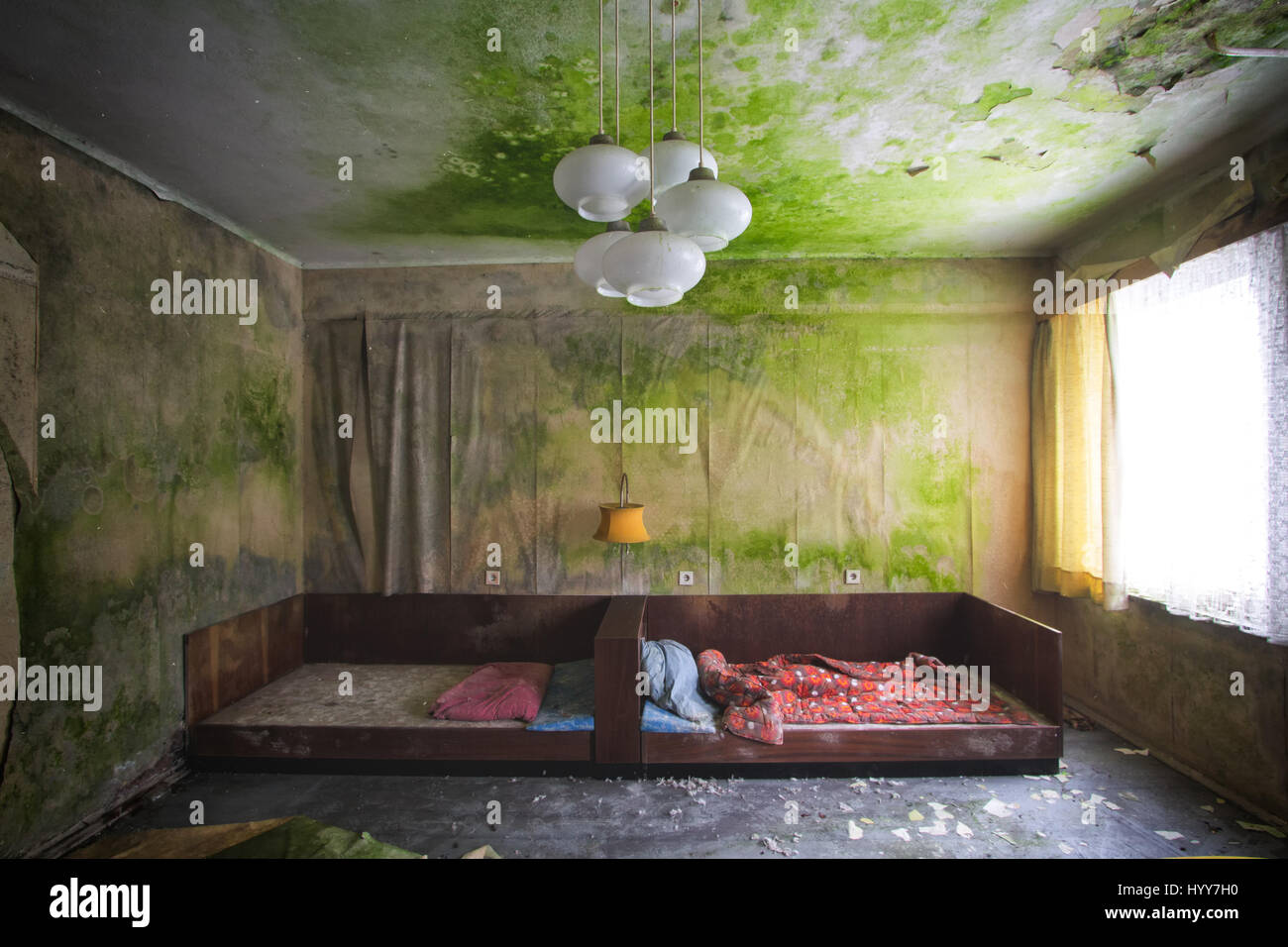 Unnerving Images Show How A Green Carpet Of Mould Is Taking Over