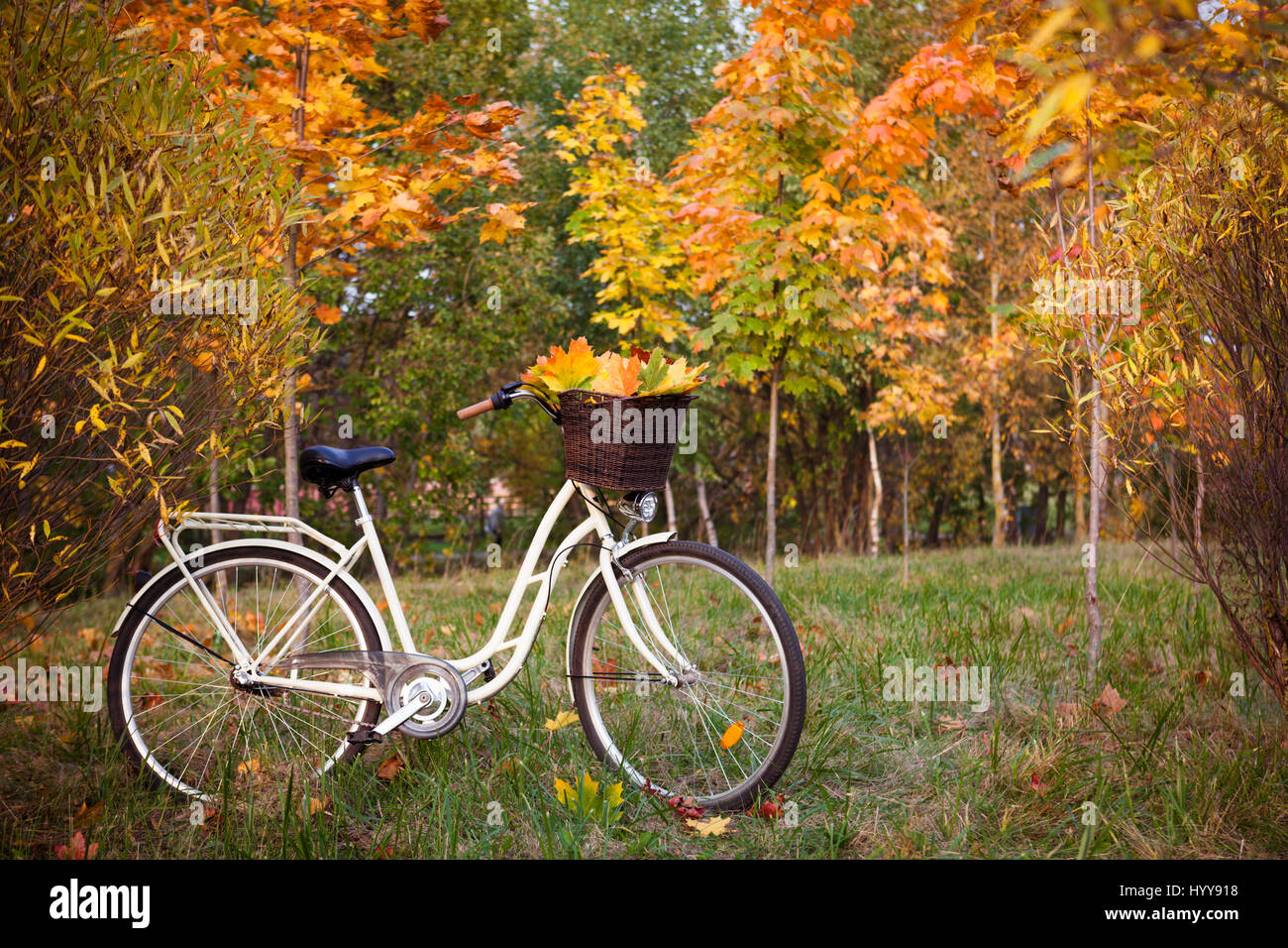 White retro style bicycle with basket with orange, yellow and green leaves, parked in the colorful autumn park Stock Photo