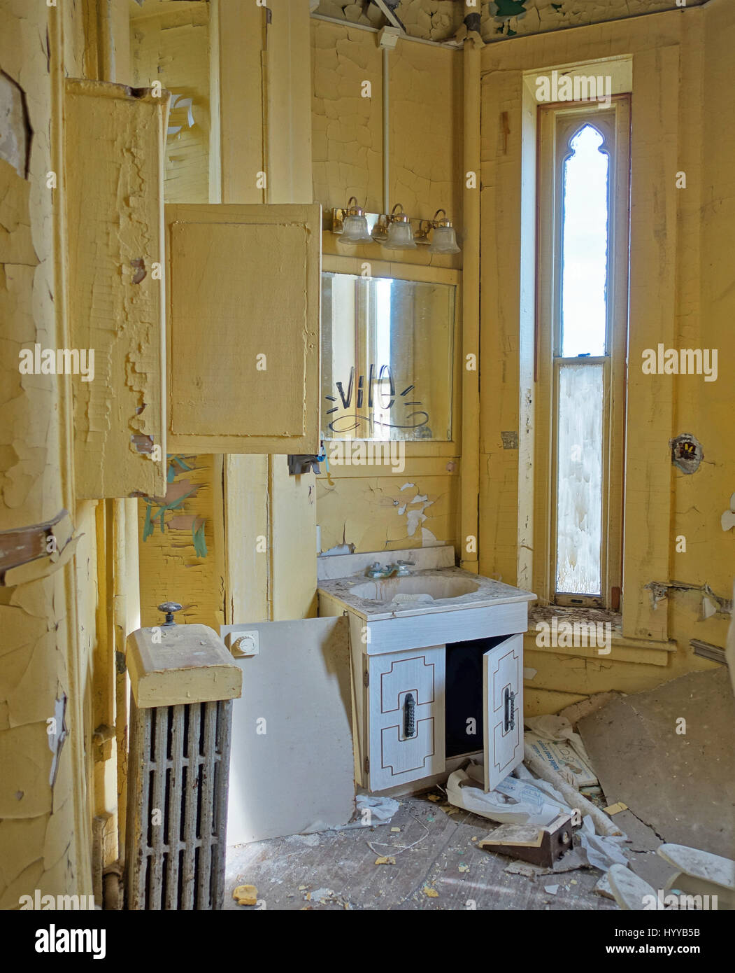 ILLINOIS, USA HAUNTING images have revealed the derelict remains of