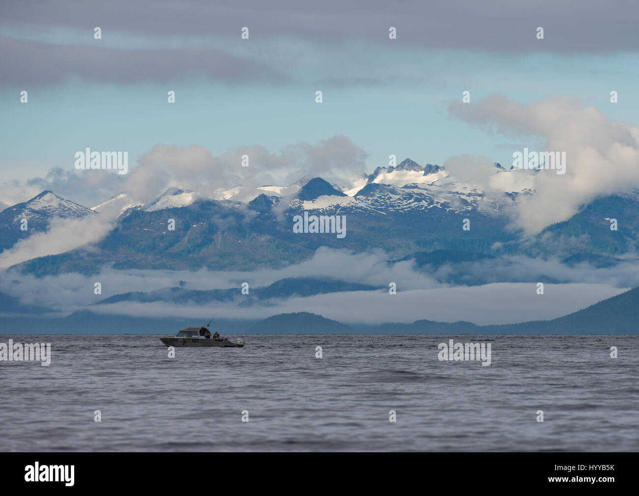 ALASKA, USA: SPECTACULAR images of humpback whales appearing to resemble a mountain range as they bubble net feed have been captured. The incredible series of pictures show how the thirty-tonne whales dive underwater to hunt their herring supper and then resurface to quickly gobble up their catch before the fish can make an escape. In another shot, a boat of fishermen watch the spectacle. Another image shows a humpback’s spout disappear high into the clouds. This amazing encounter was captured by American artist and photographer, Scott Methvin (58) in South East Alaska. Scott used a Nikon DSLR Stock Photo