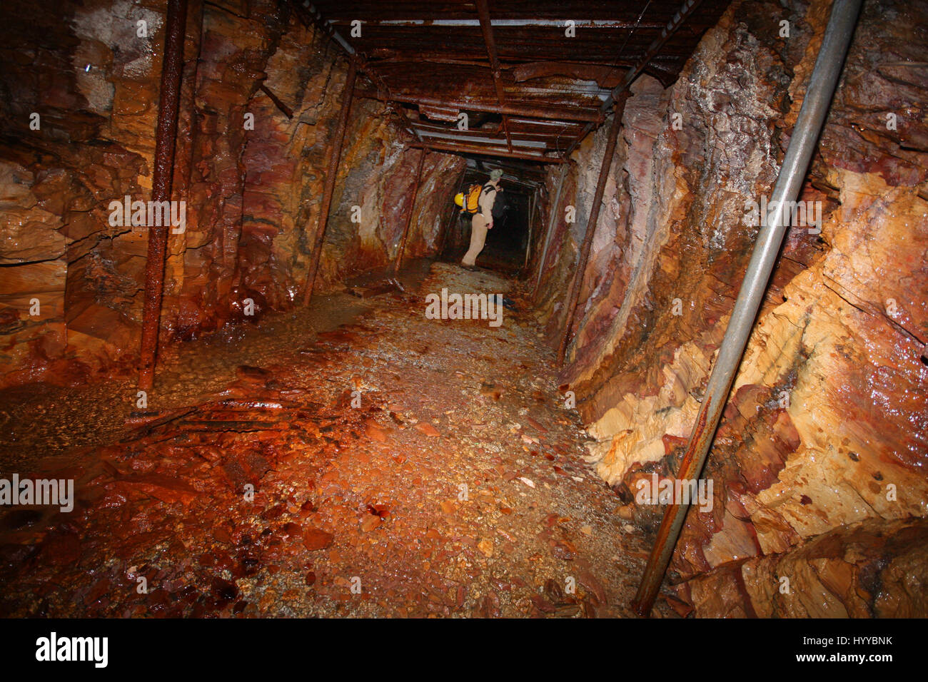 CALLINGTON, CORNWALL, UK EERIE images reveal the Cornish mining tunnel