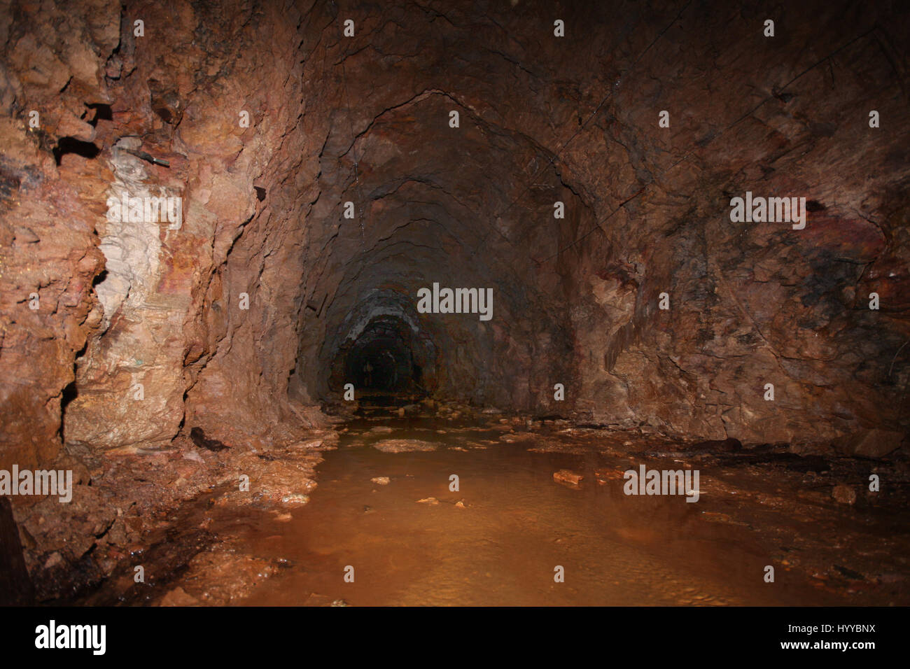 CALLINGTON, CORNWALL, UK EERIE images reveal the Cornish mining tunnel