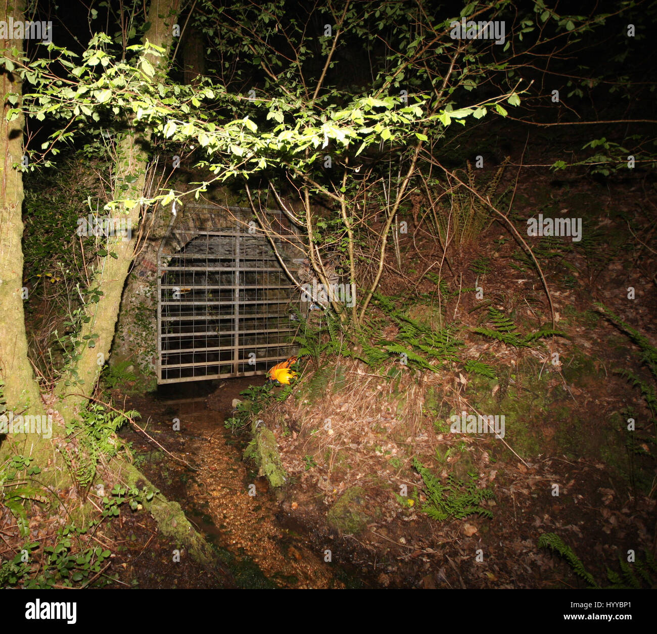 CALLINGTON, CORNWALL, UK The tunnel's exterior. EERIE images reveal