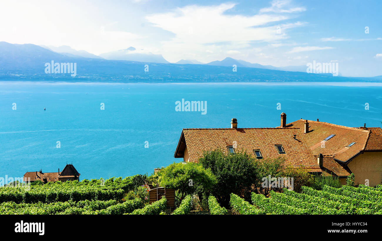 Swiss Chalets in Vineyard Terrace hiking trail of Lavaux, Lake Geneva ...