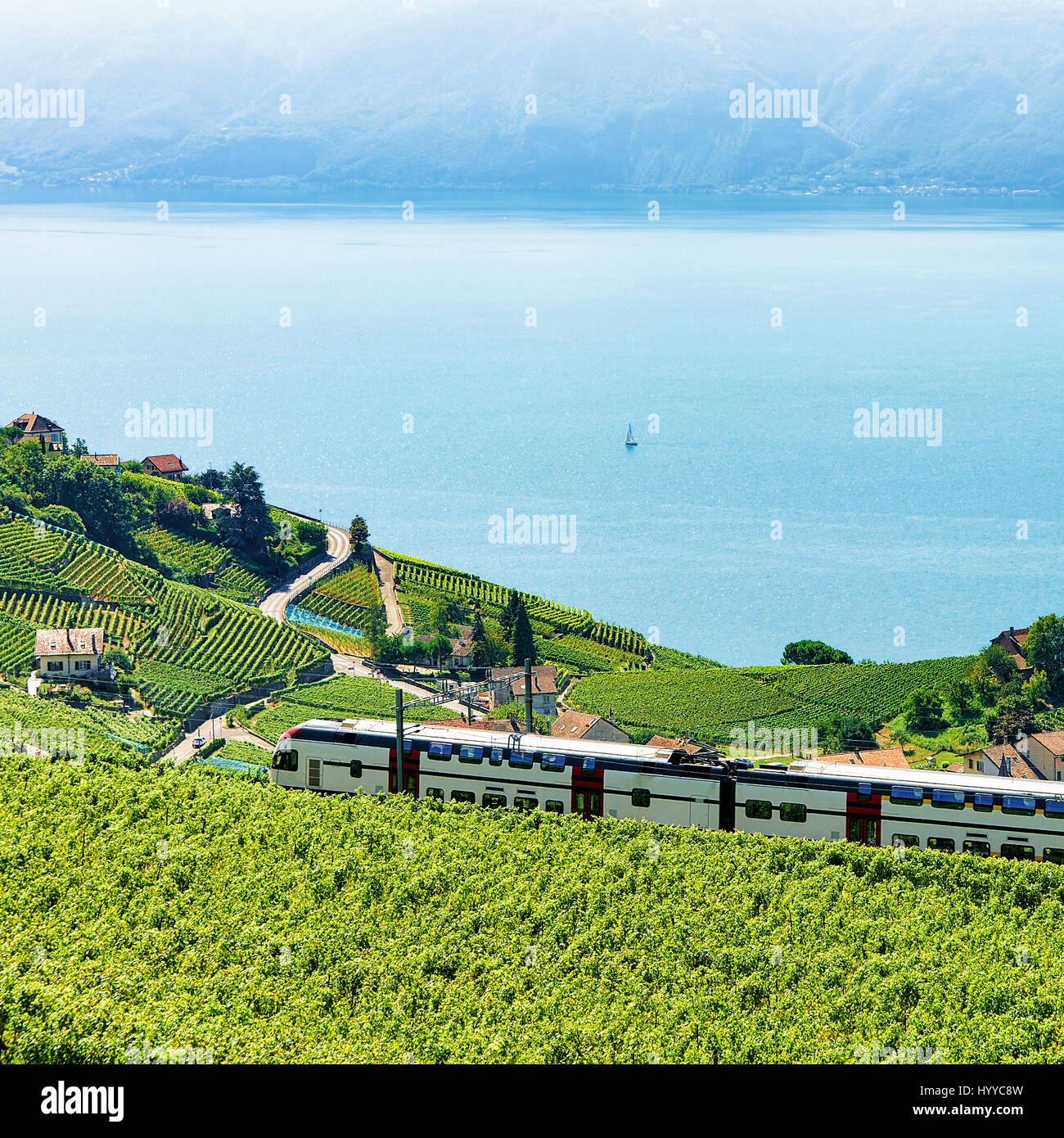 Train in Vineyard Terraces in Lavaux near Lake Geneva and Swiss Alps ...