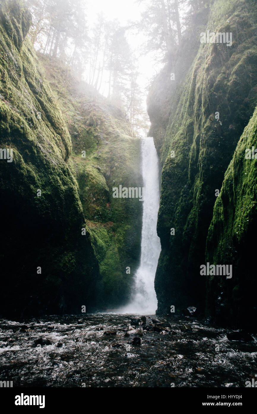 Oneonta Pacific Northwest, Oregon Stock Photo Alamy