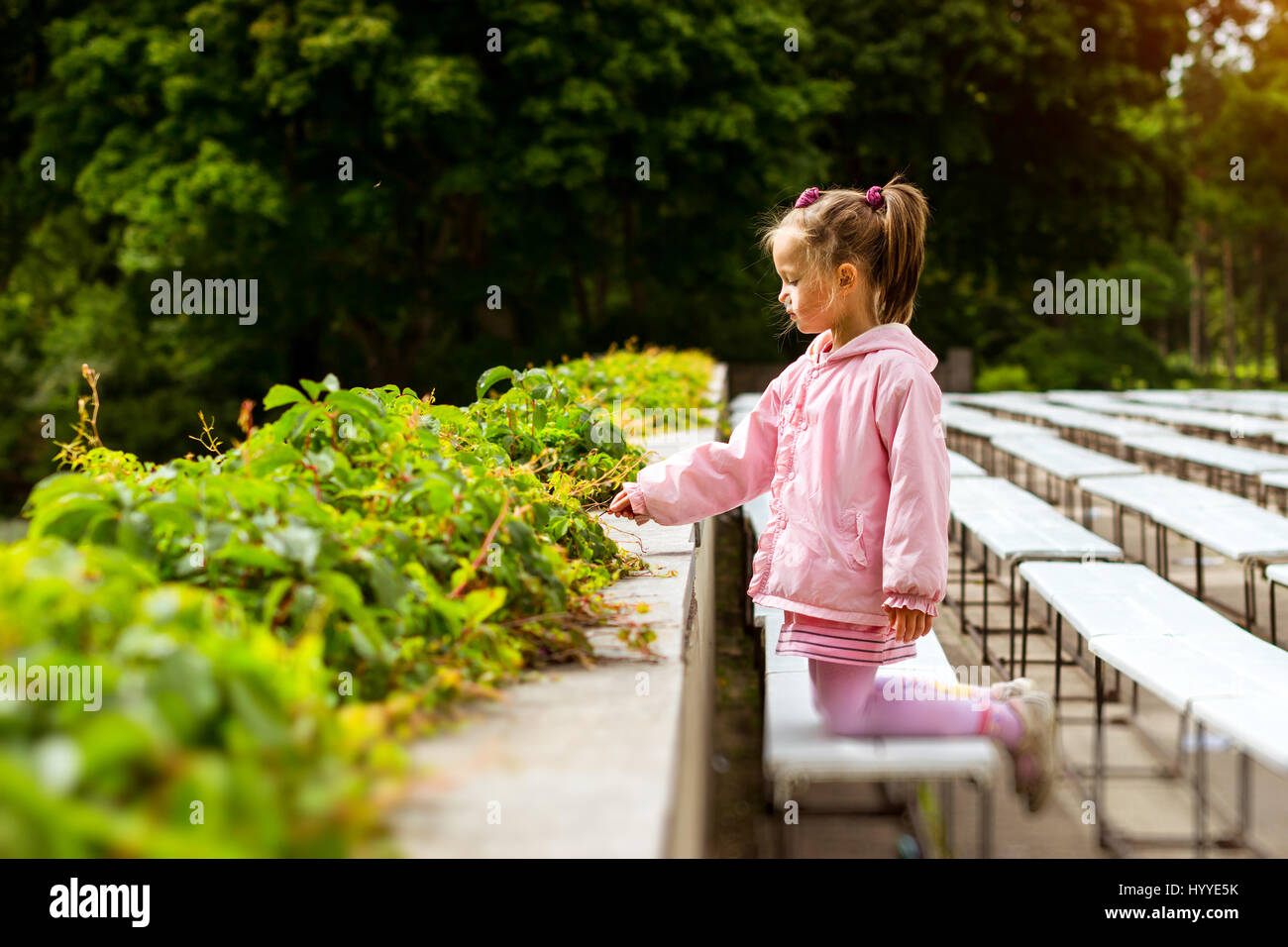 Cute little girl in a pink dress walks and plays in Palanga botanical ...