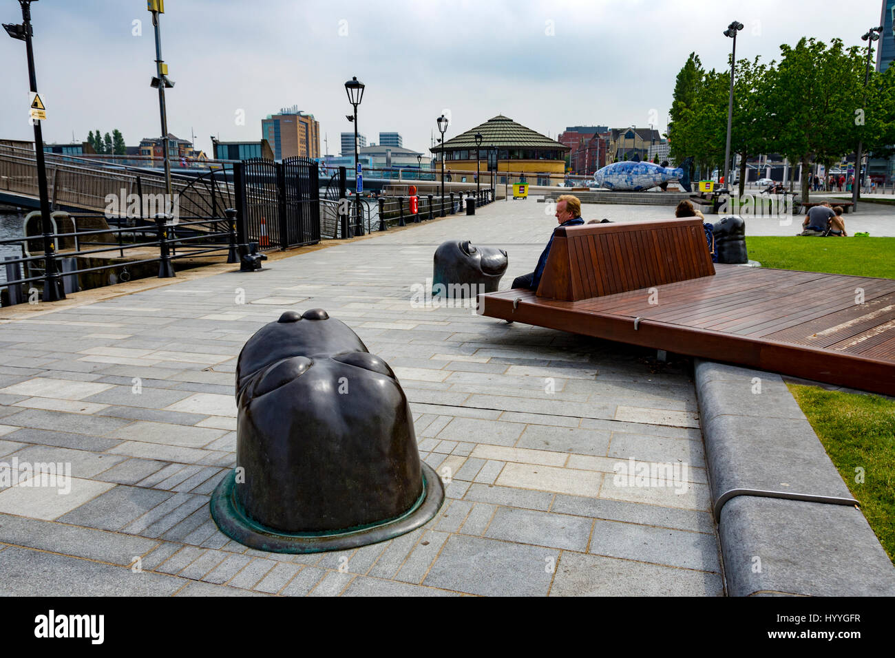 The Sammy The Seal Sculptures And Seating At Lagan Weir Belfast Stock Photo Alamy