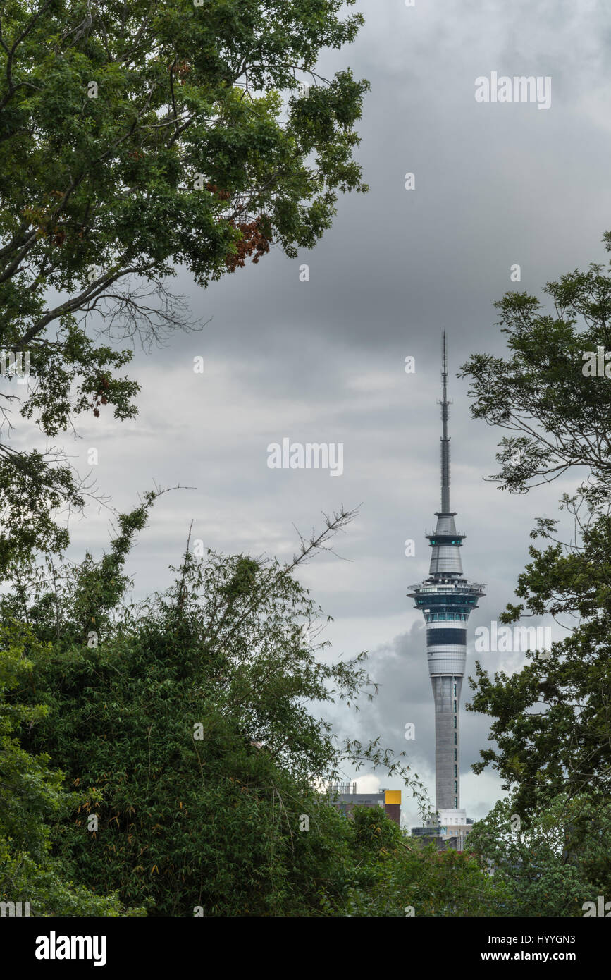 Auckland, New Zealand - March 1, 2017: Through the green trees of the Domain park the Sky Tower can be seen clearly. Dark gray cloudy sky. Stock Photo