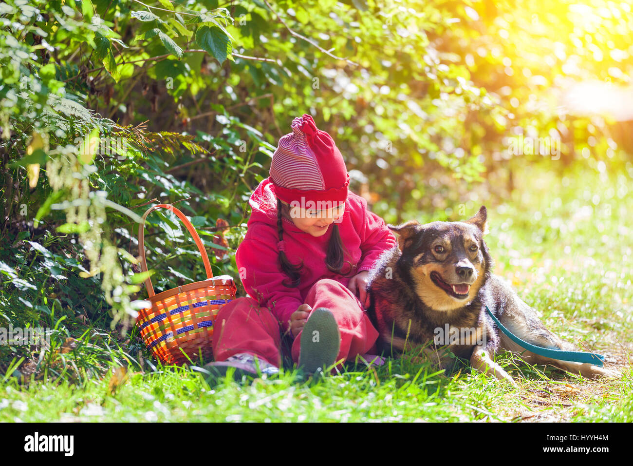 Happy little girl sitting with dog in the forest on picnic in sunny day ...