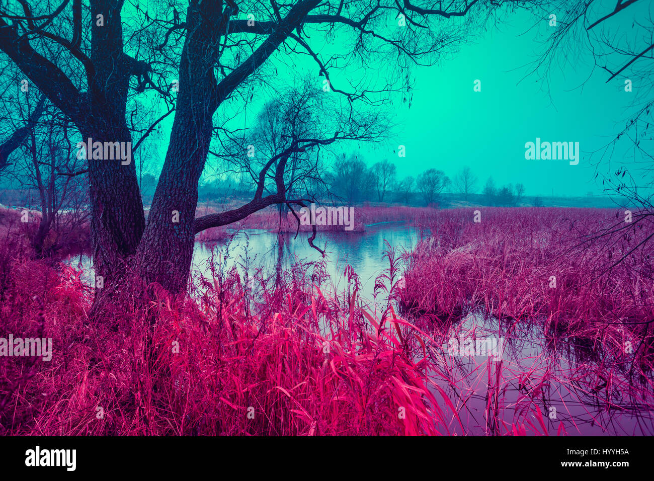 Blue red vintage autumn rural landscape. Tree without leaves near calm river. Misty morning in countryside. Stock Photo