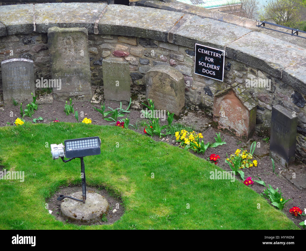 Dog cemetery Edinburgh Castle Stock Photo Alamy
