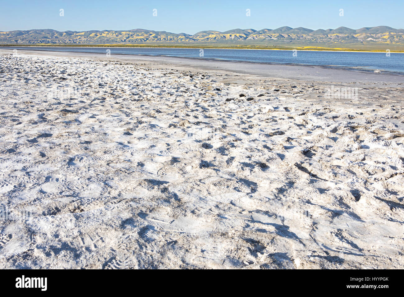 Salt beach at Soda Lake, Carrizo Plain National Monument Stock Photo