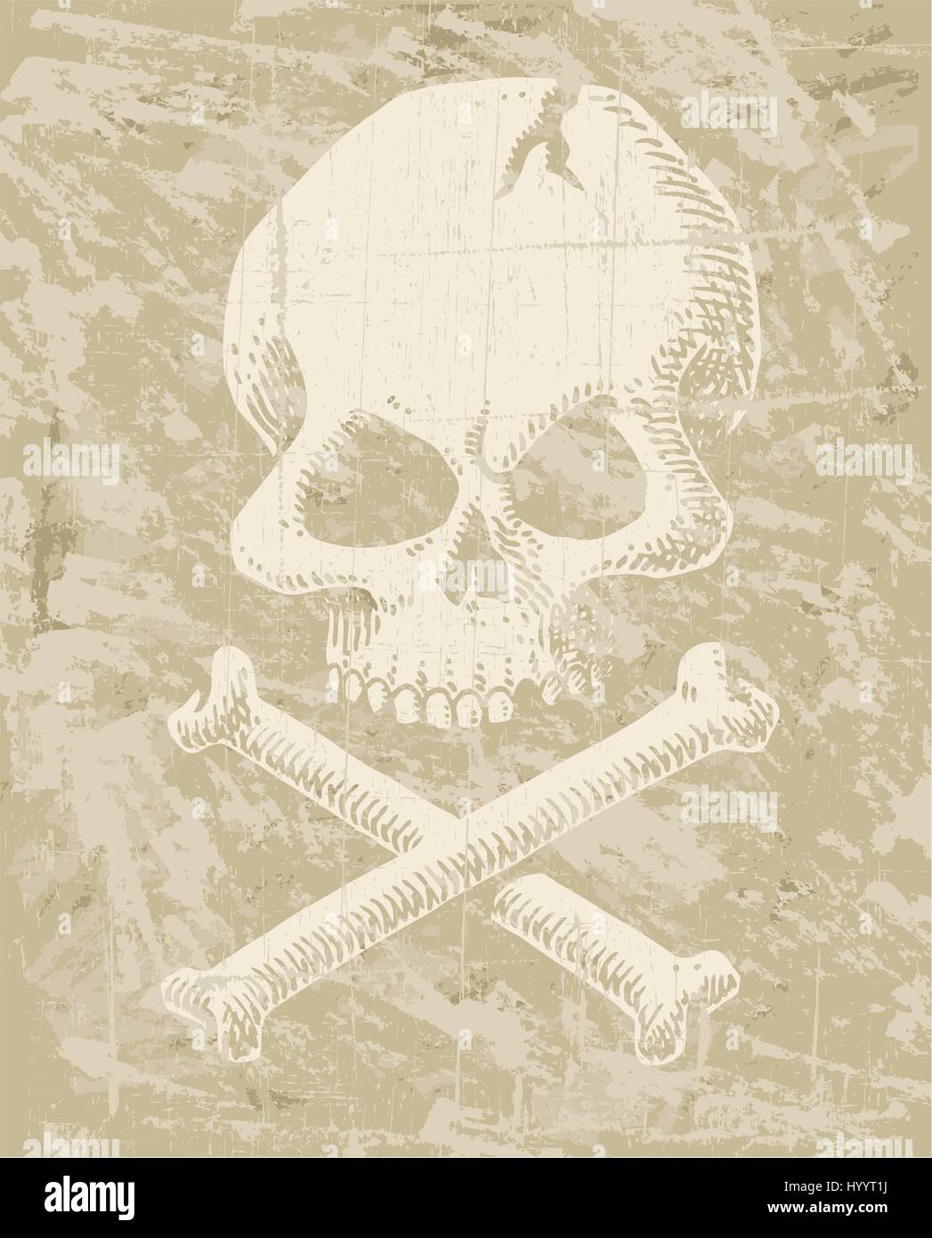 Skull. Vector Illustration Stock Vector Image & Art - Alamy