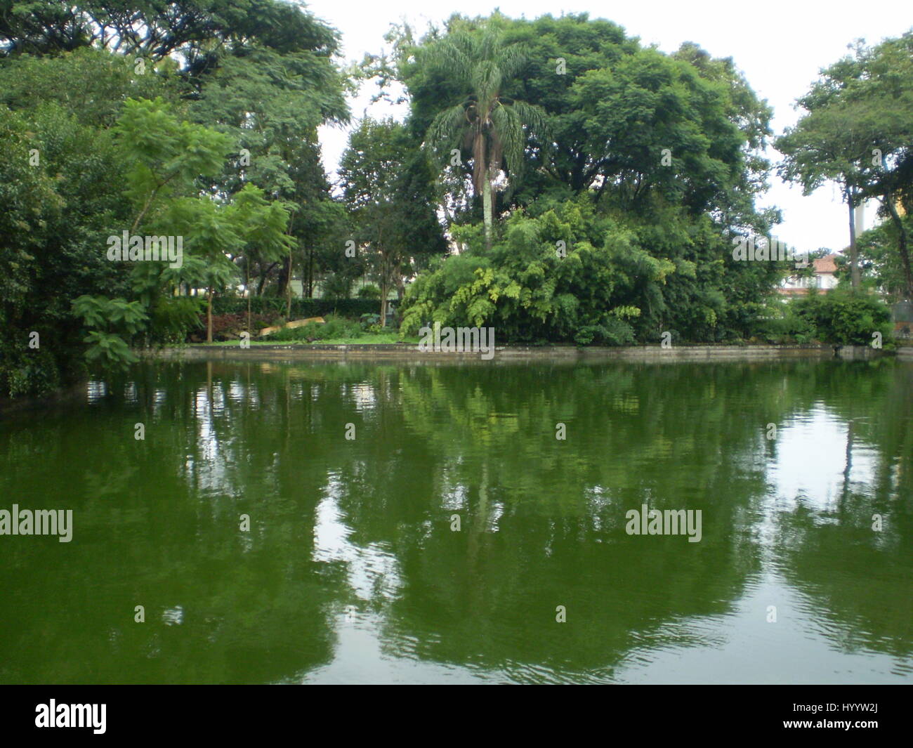 Image from Curitiba, Brazil Stock Photo - Alamy