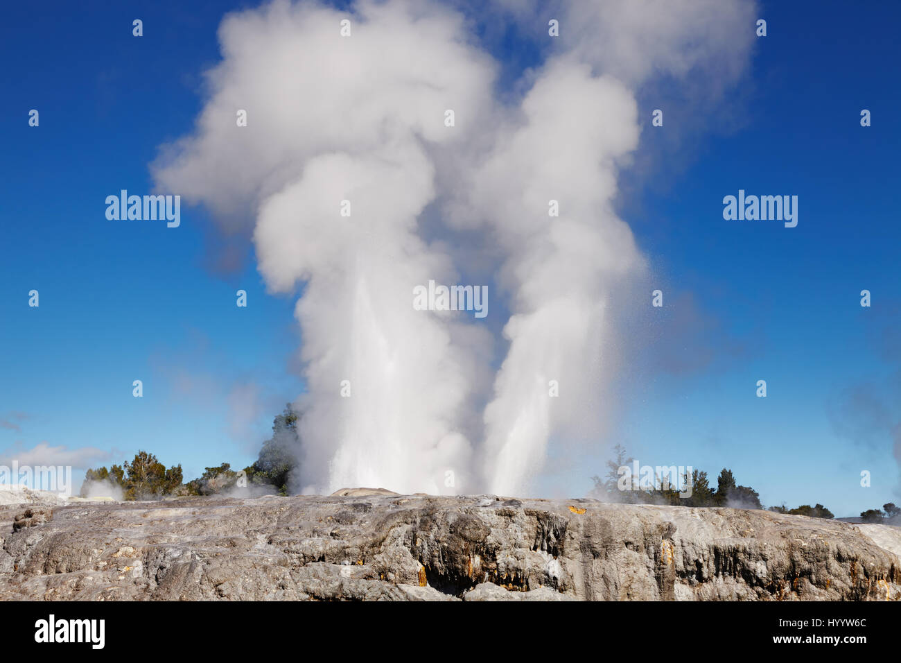 Pohutu Geyser, Whakarewarewa Thermal Valley, Rotorua, New Zealand Stock Photo