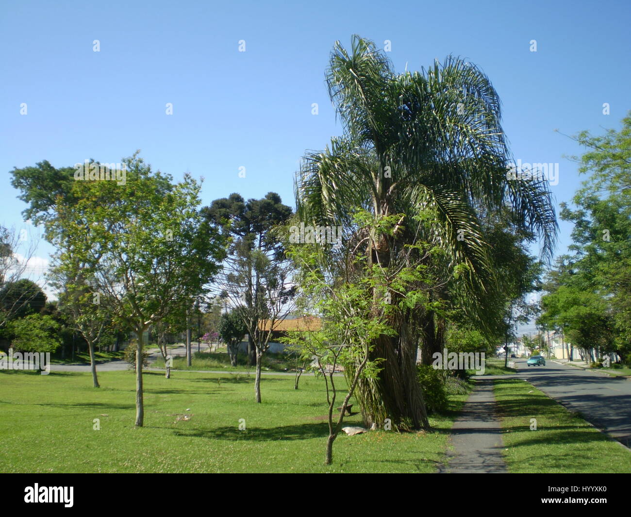 Image from Curitiba, Brazil Stock Photo Alamy