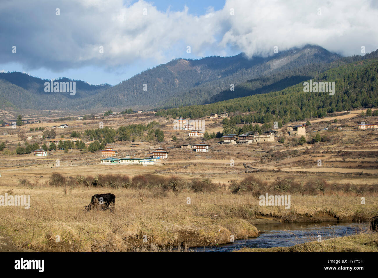Phobjkha Valley is known for its potatoes and the black necked crane (Bhutan) Stock Photo