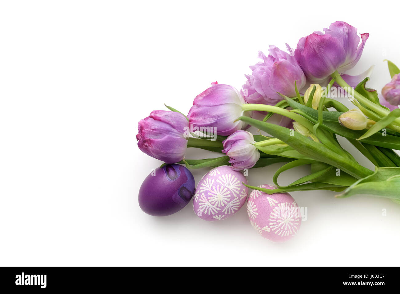Easter eggs and tulips on white background. Flat lay. Top view Stock ...