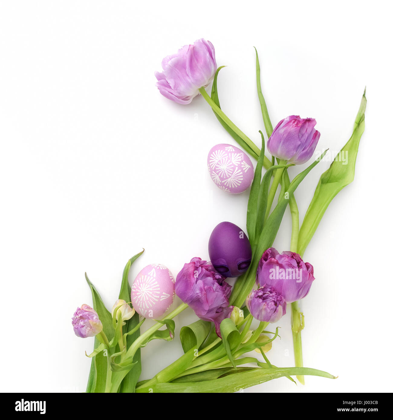 Easter eggs and tulips on white background. Flat lay. Top view Stock ...