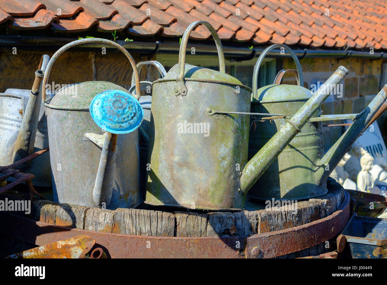 Old watering cans hires stock photography and images Alamy
