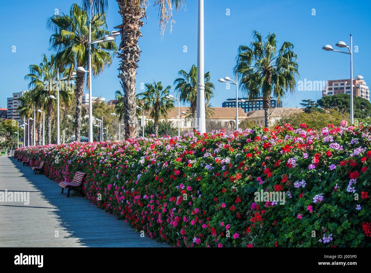 Flowers bridge (Puente de las flores), a modern bridge with a plenty of Flowers bridge (Puente de las flores), a modern bridge with a plenty of