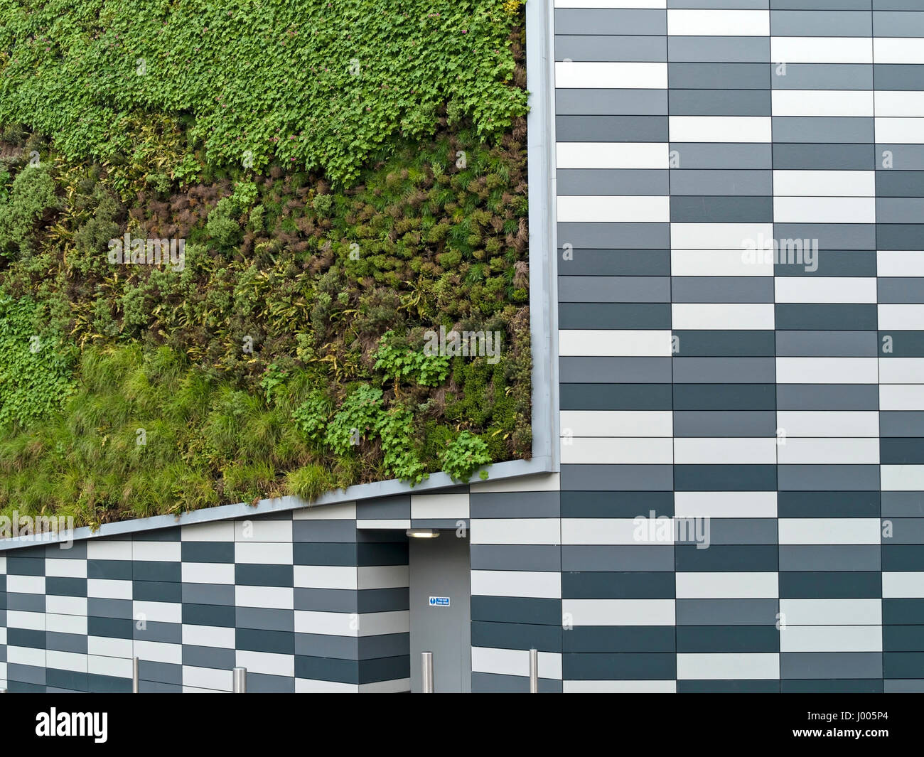 Vertical green garden and sidings on wall of Marks and Spencer store in Norwich, England, UK Stock Photo