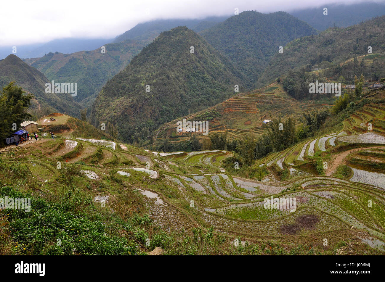 Terraced rice field in Cat Cat, Sa Pa, Northern Vietnam Stock Photo - Alamy