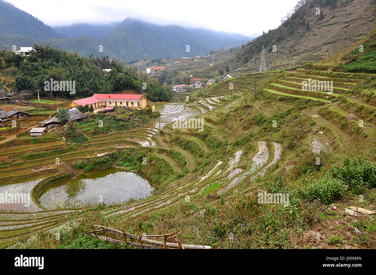 Terraced rice field in Cat Cat, Sa Pa, Northern Vietnam Stock Photo - Alamy