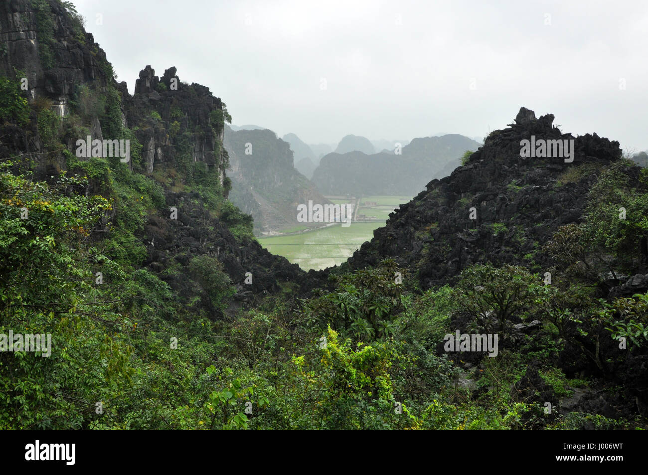 Hang mua rice fields landscape hi res stock photography and images Alamy Hang mua rice fields landscape hi res stock photography and images Alamy