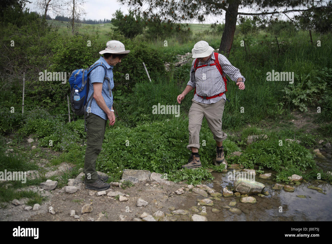 A 72 year old man hiker walks on pebbles keeping his balance carefully crossing a stream, his 61 year old woman friend watches he is fine and safe. Stock Photo