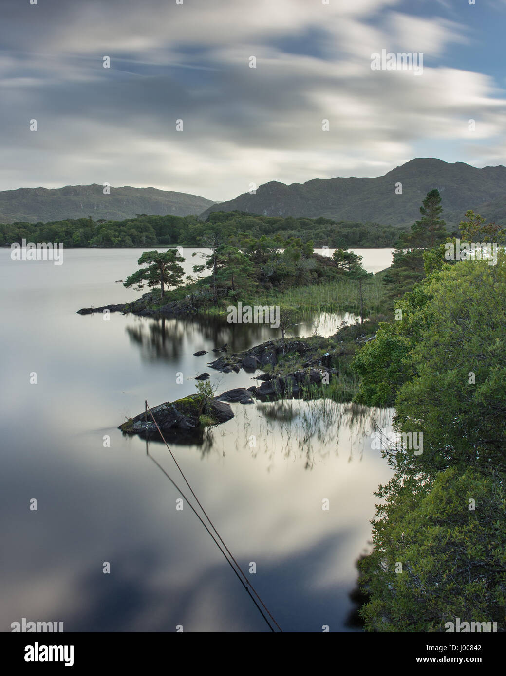 Small native trees stand on the rocky shores of Muckross Lake in the Killarney National Park in Ireland's County Kerry. Stock Photo