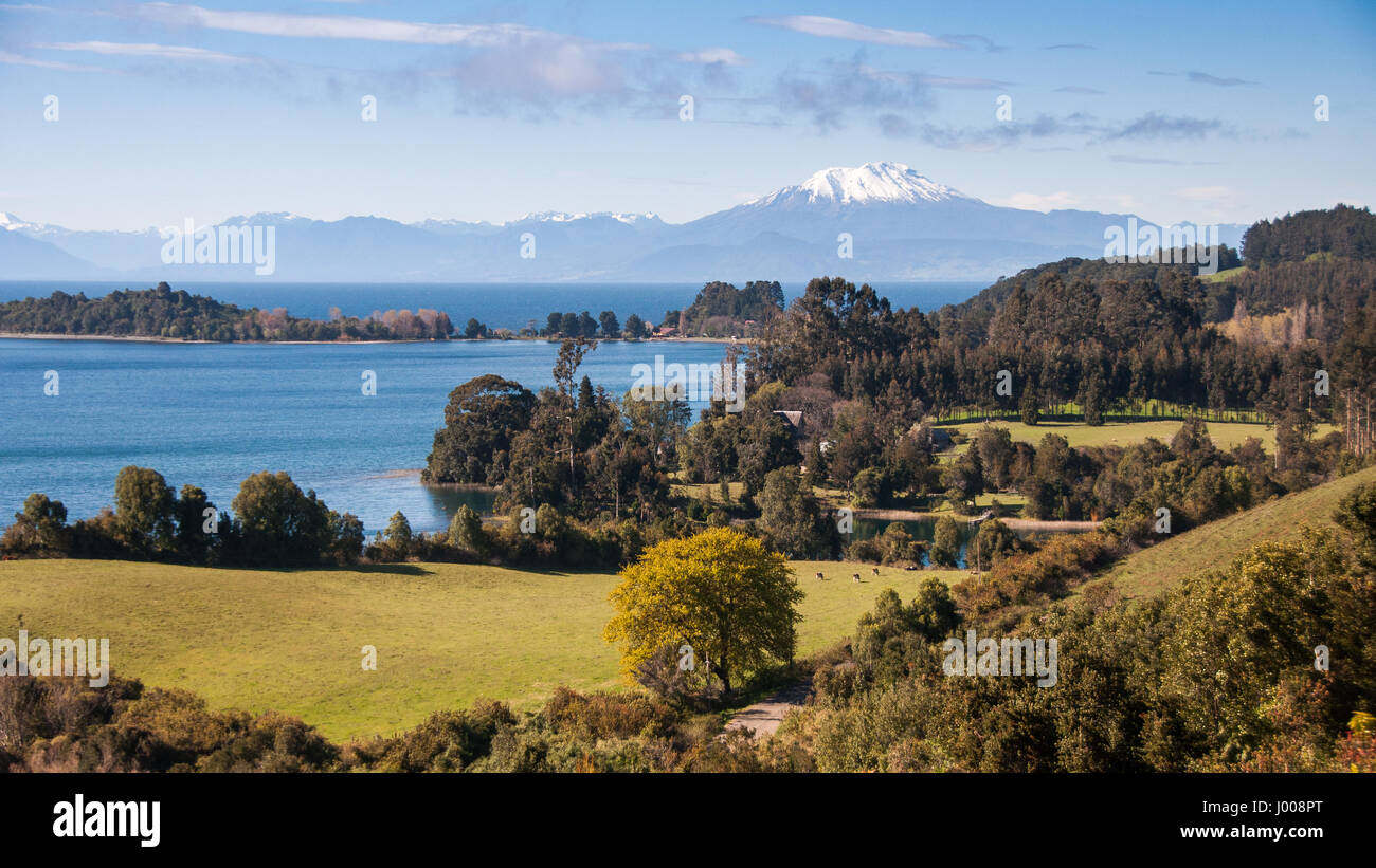 Calbuco volcano rises from the shores of Lago Llanquihue lake as viewed from Puerto Octay in the Los Lagos region of Chilean Patagonia. Stock Photo
