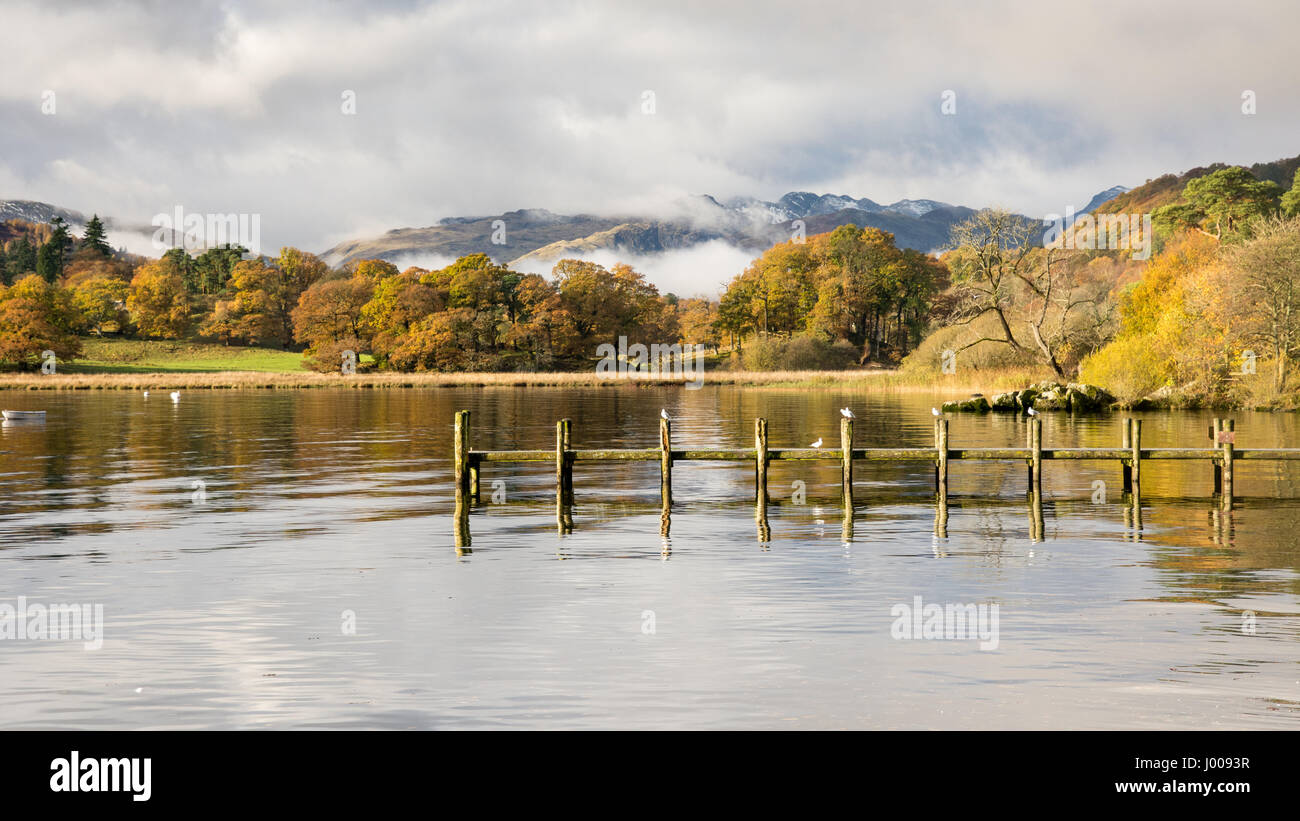 Mist rises from woodland in autumn colour at Ambleside on Windermere lake, under the mountains of Langdale in England's Lake District National Park. Stock Photo