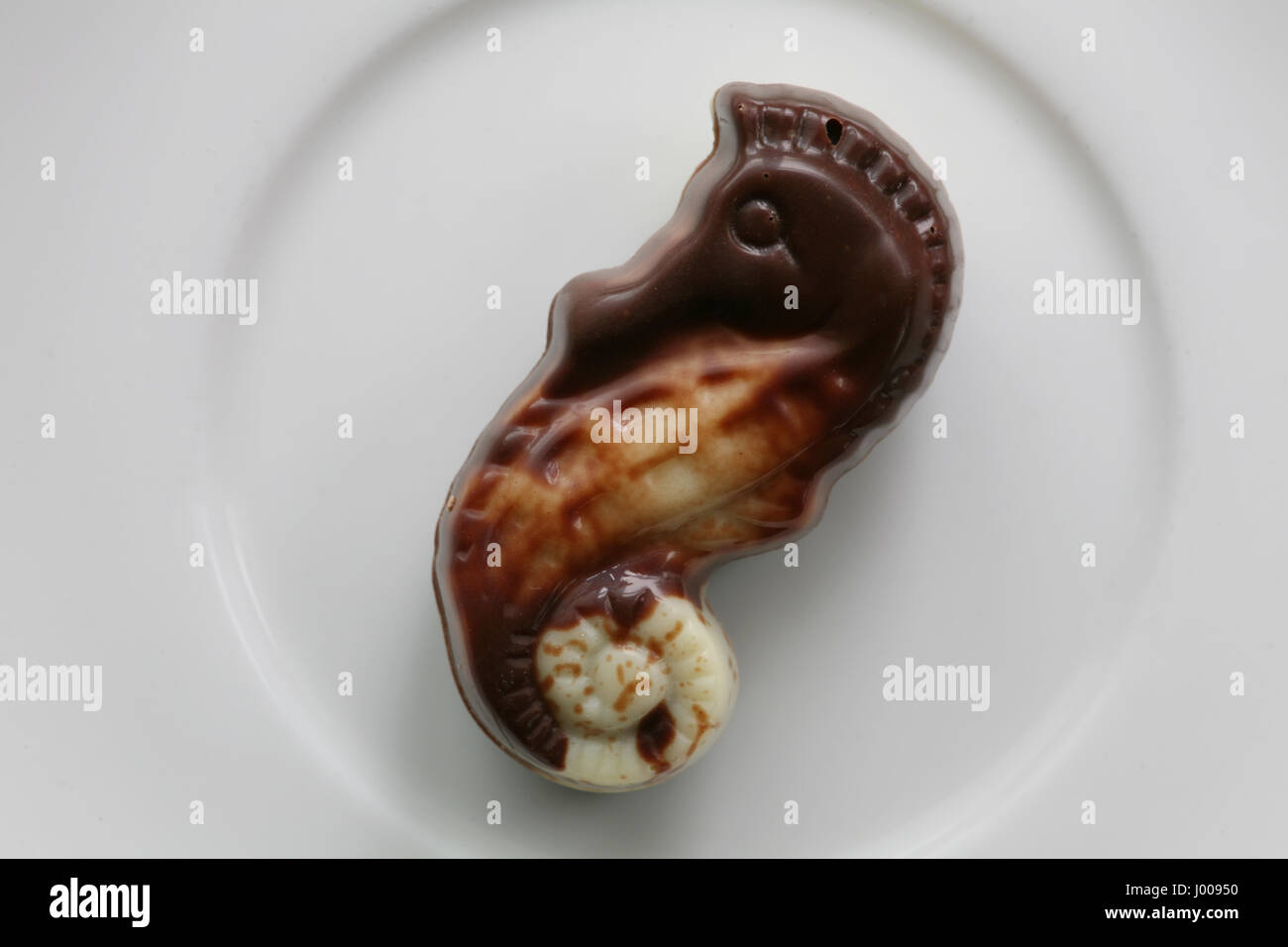 Guylian Chocolate Seashells Dark Praline 225G - Tesco Groceries