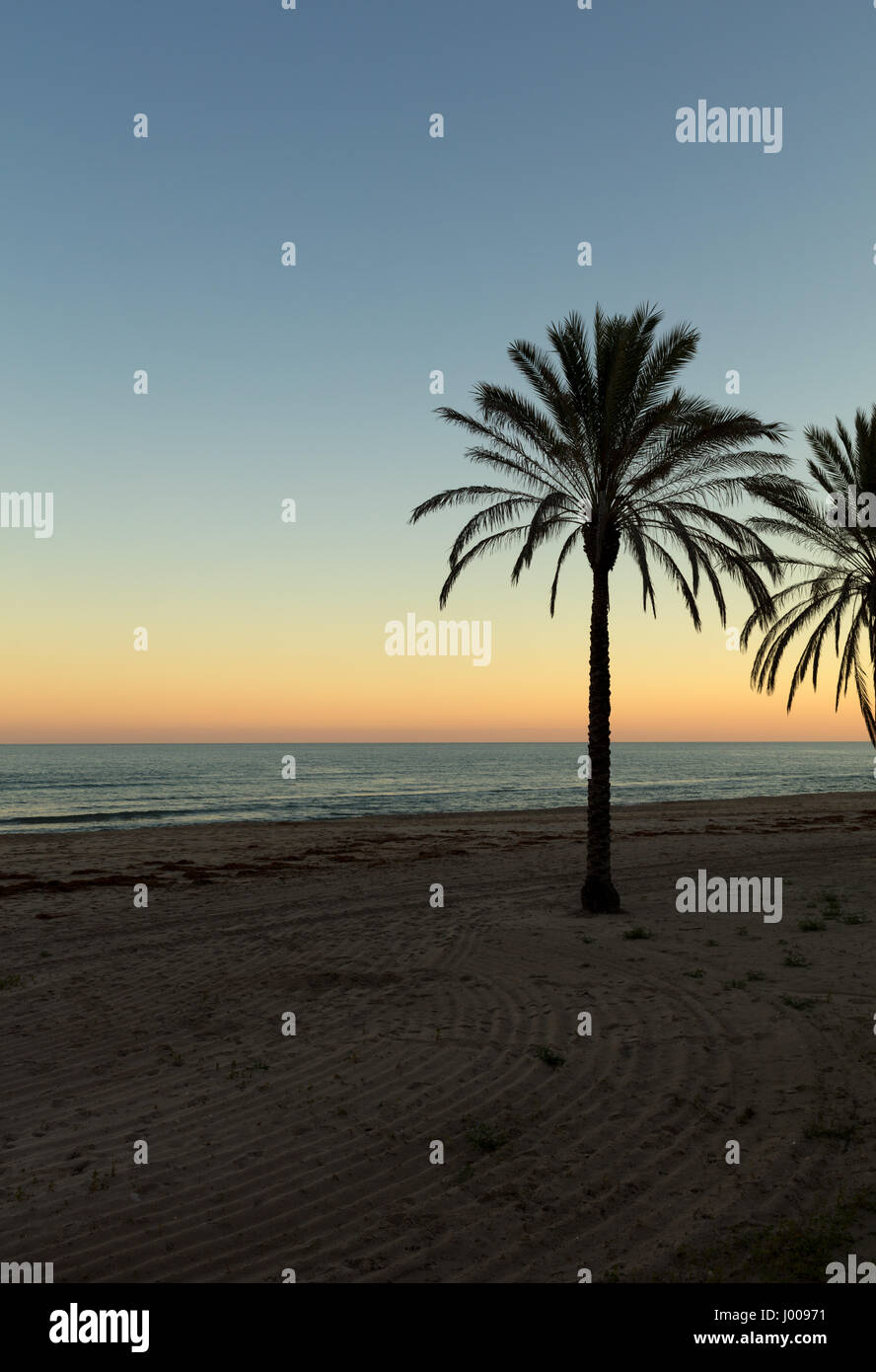 sunset in a palm tree beach. Mediterranean sea Stock Photo - Alamy