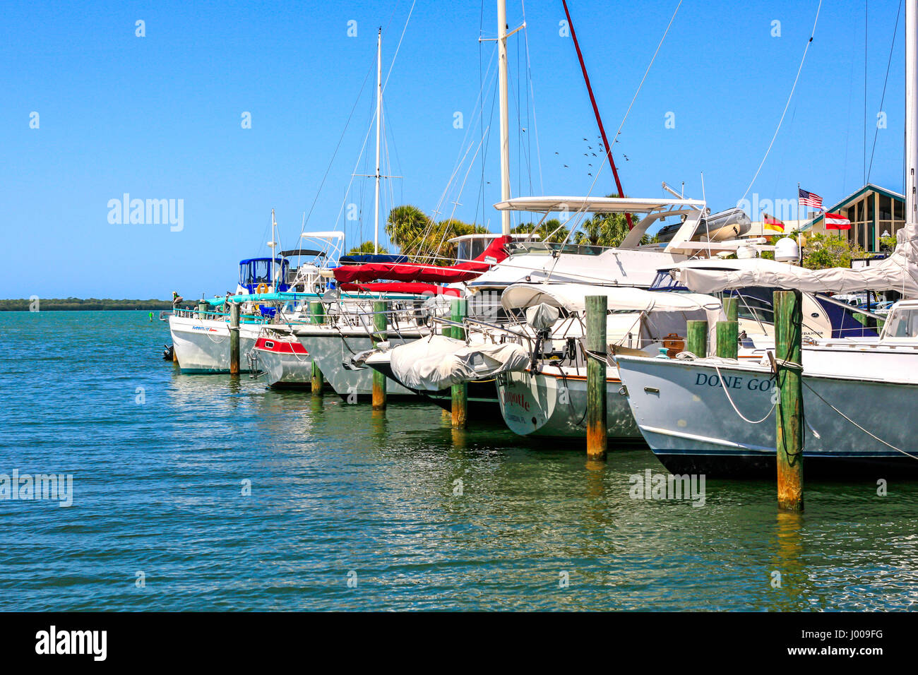 Dunedin florida marina hi-res stock photography and images - Alamy