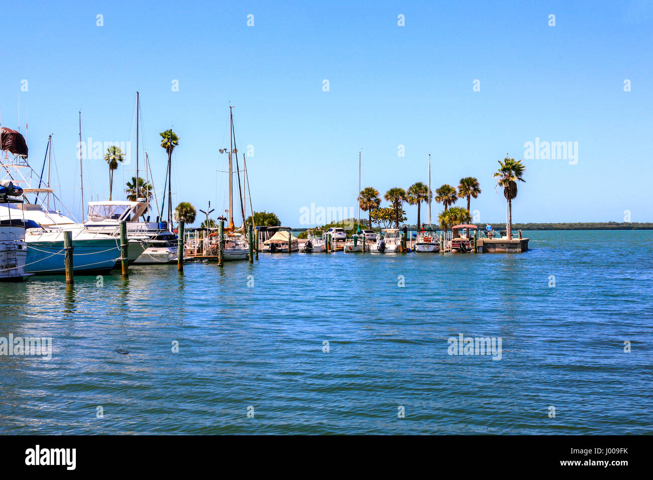 Dunedin florida marina hi-res stock photography and images - Alamy