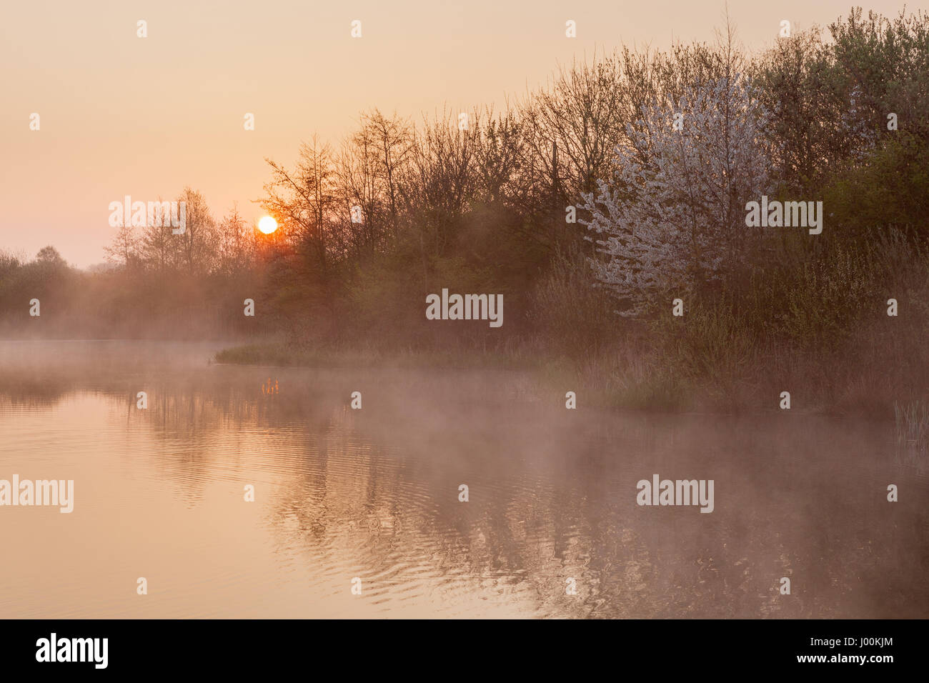 Barton-upon-Humber, North Lincolnshire, UK. 8th April, 2017. UK Weather: Waters' Edge Country Park, Barton-upon-Humber, North Lincolnshire, UK. 8th Apr, 2017. Mist rising from a pond on a sunny but chilly spring morning. Credit: LEE BEEL/Alamy Live News Stock Photo