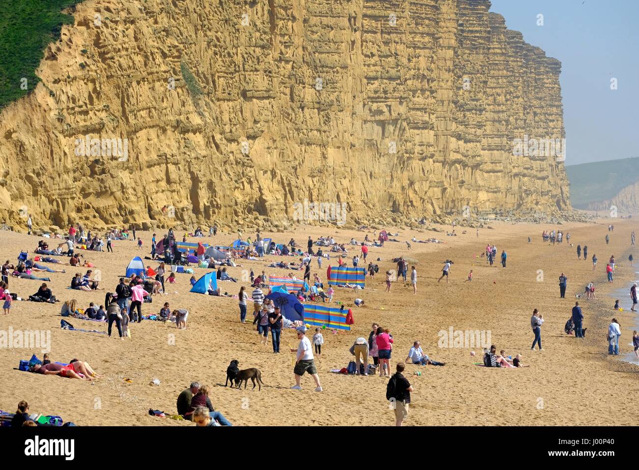 West Bay, Dorset, UK. 8th Apr, 2017. Crowds flock to West Bay beach in Dorset to enjoy what looks like the warmest day of the year. Credit: Tom Corban/Alamy Live News Stock Photo