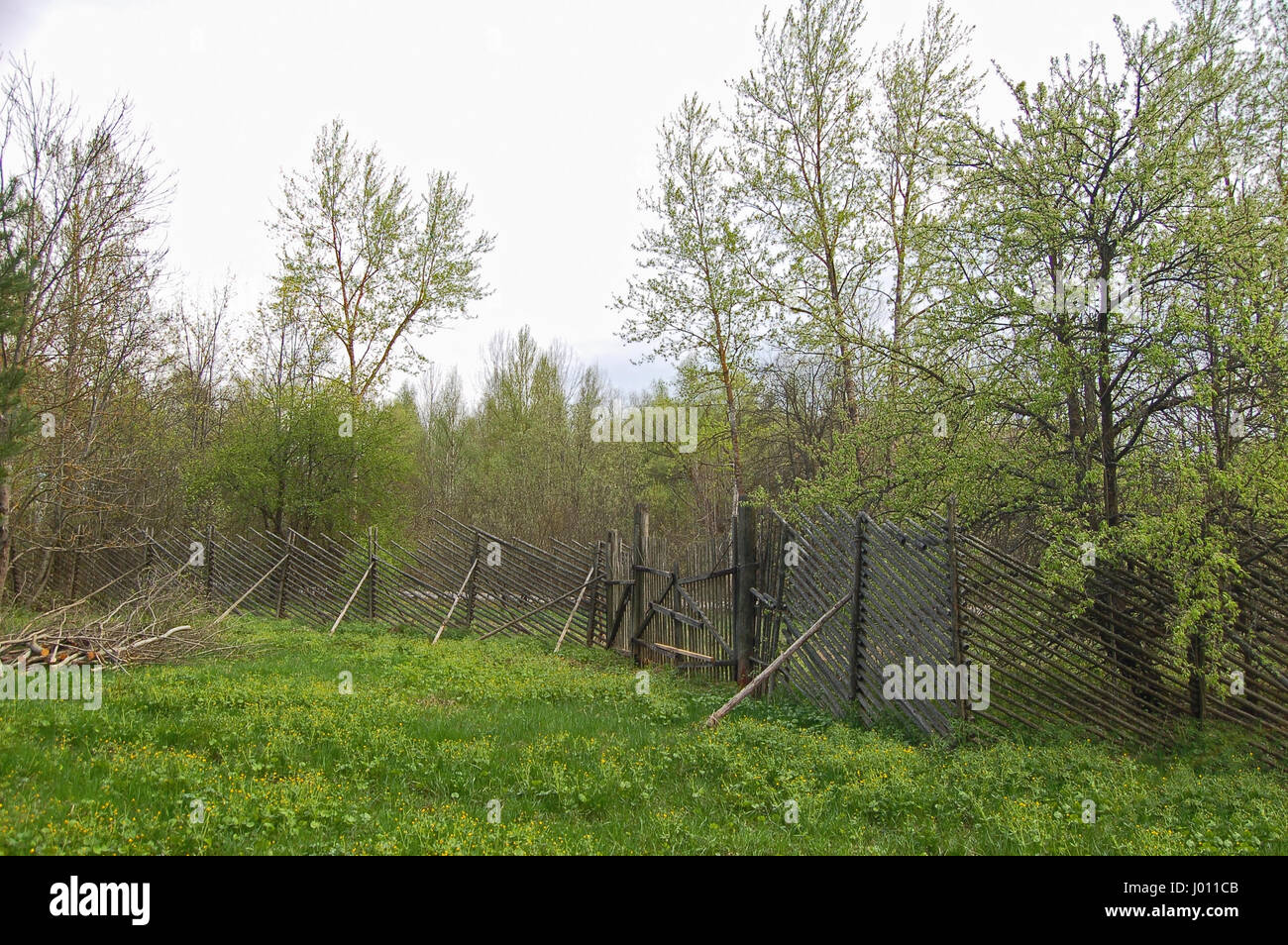 Old wooden fence Stock Photo - Alamy