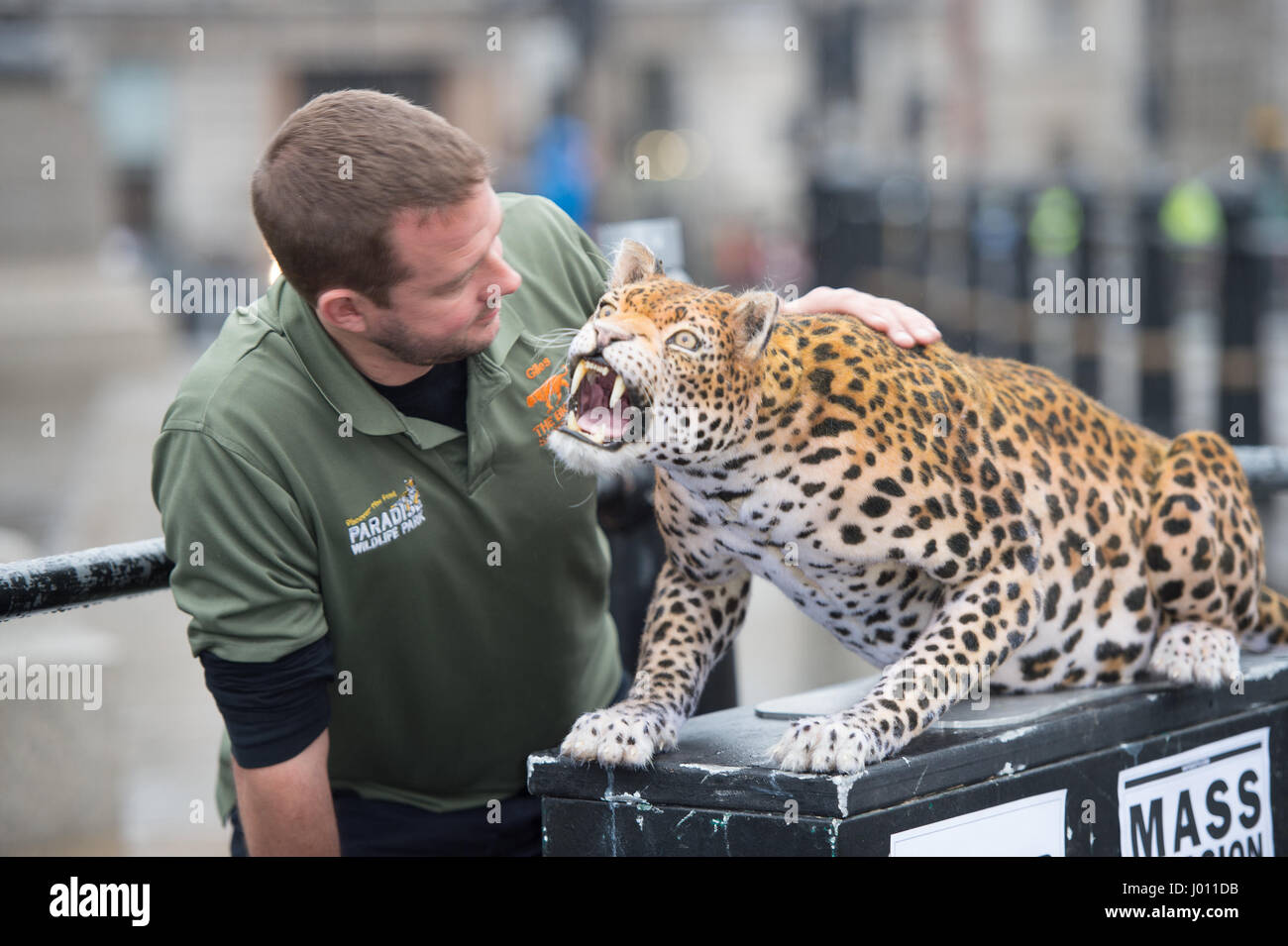 Nat Geo WILD unveils the world's first hyper realistic animatronic leopard  to mark the launch of Big Cat Week (6-12 March), in association with  charity the Big Cats Initiative. Featuring: Atmosphere, Leopard,